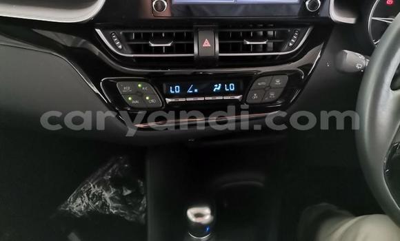 Tenga Tsaru Toyota C-HR Chena Mota in Lusaka in Zambia Tenga Tsaru Toyota C-HR Chena Mota in Lusaka in Zambia