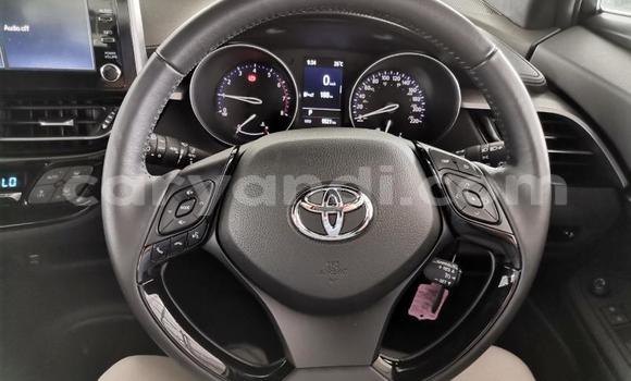 Tenga Tsaru Toyota C-HR Chena Mota in Lusaka in Zambia Tenga Tsaru Toyota C-HR Chena Mota in Lusaka in Zambia