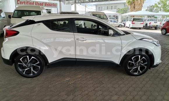 Tenga Tsaru Toyota C-HR Chena Mota in Lusaka in Zambia Tenga Tsaru Toyota C-HR Chena Mota in Lusaka in Zambia