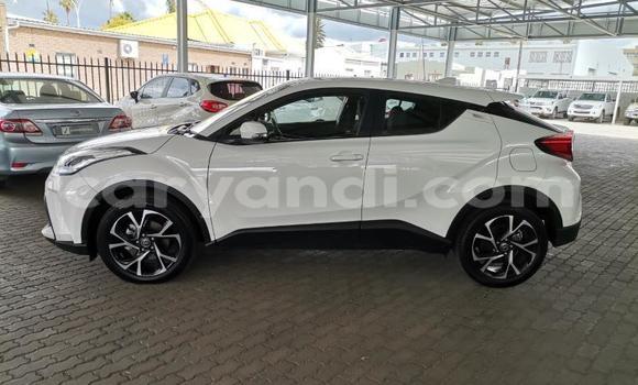 Tenga Tsaru Toyota C-HR Chena Mota in Lusaka in Zambia Tenga Tsaru Toyota C-HR Chena Mota in Lusaka in Zambia