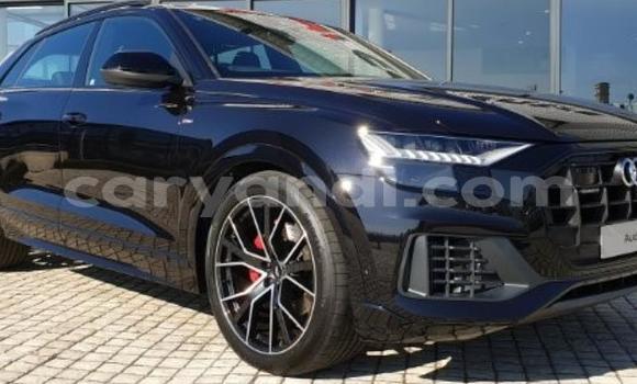 Tenga Tsaru Audi Q8 Nhema Mota in Lusaka in Zambia Tenga Tsaru Audi Q8 Nhema Mota in Lusaka in Zambia