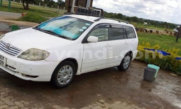 Tenga Tsaru Toyota Corolla Chena Mota in Chambishi in Copperbelt