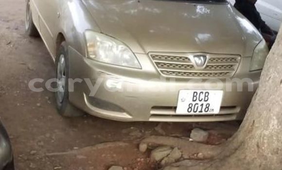 Buy Used Toyota Allex Beige Car in Chambishi in Copperbelt Buy Used Toyota Allex Beige Car in Chambishi in Copperbelt