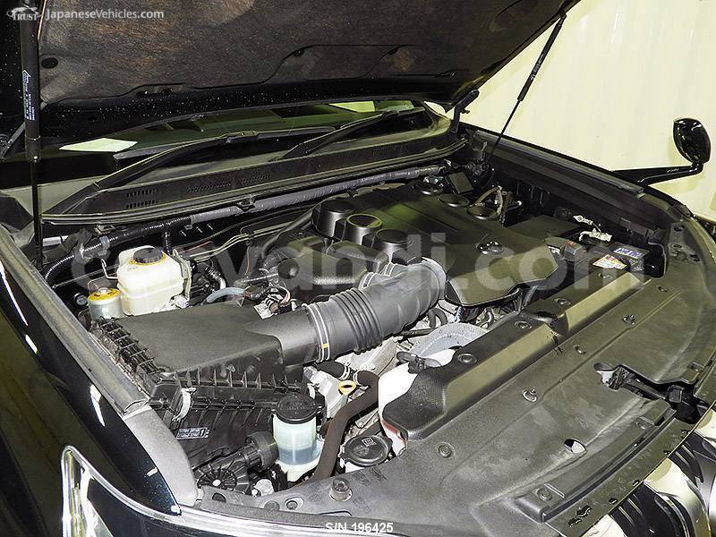 Big with watermark 29