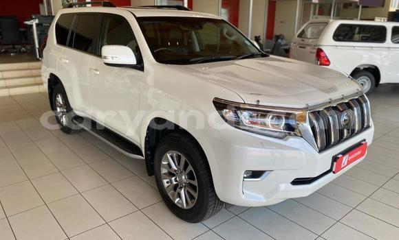 Tenga Tsaru Toyota Land Cruiser Chena Mota in Mazabuka in Southern Tenga Tsaru Toyota Land Cruiser Chena Mota in Mazabuka in Southern