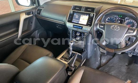 Tenga Tsaru Toyota Land Cruiser Chena Mota in Mazabuka in Southern Tenga Tsaru Toyota Land Cruiser Chena Mota in Mazabuka in Southern