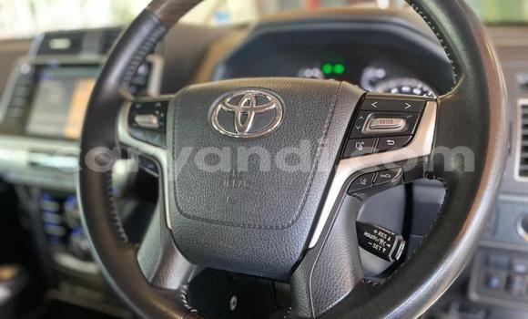 Tenga Tsaru Toyota Land Cruiser Chena Mota in Mazabuka in Southern Tenga Tsaru Toyota Land Cruiser Chena Mota in Mazabuka in Southern