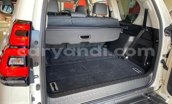 Tenga Tsaru Toyota Land Cruiser Chena Mota in Mazabuka in Southern Tenga Tsaru Toyota Land Cruiser Chena Mota in Mazabuka in Southern