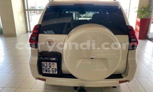 Tenga Tsaru Toyota Land Cruiser Chena Mota in Mazabuka in Southern Tenga Tsaru Toyota Land Cruiser Chena Mota in Mazabuka in Southern