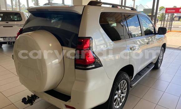 Tenga Tsaru Toyota Land Cruiser Chena Mota in Mazabuka in Southern Tenga Tsaru Toyota Land Cruiser Chena Mota in Mazabuka in Southern