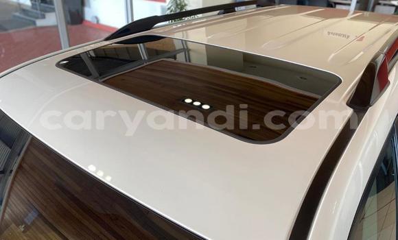 Tenga Tsaru Toyota Land Cruiser Chena Mota in Mazabuka in Southern Tenga Tsaru Toyota Land Cruiser Chena Mota in Mazabuka in Southern