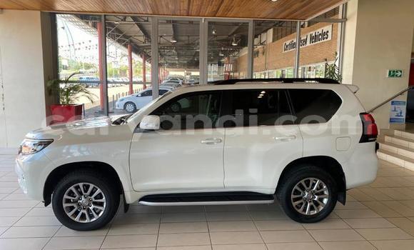 Tenga Tsaru Toyota Land Cruiser Chena Mota in Mazabuka in Southern Tenga Tsaru Toyota Land Cruiser Chena Mota in Mazabuka in Southern