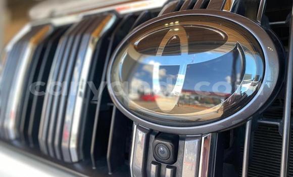 Tenga Tsaru Toyota Land Cruiser Chena Mota in Mazabuka in Southern Tenga Tsaru Toyota Land Cruiser Chena Mota in Mazabuka in Southern