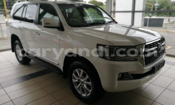 Buy Used Toyota Land Cruiser White Car in Kasama in Zambia