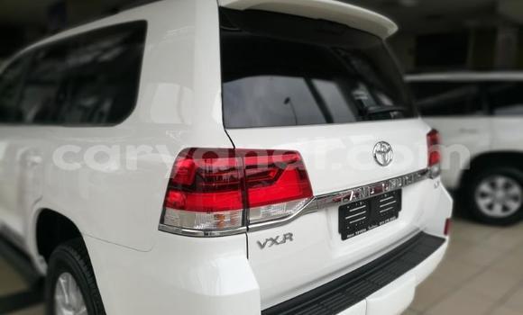 Acheter Occasion Voiture Toyota Land Cruiser Blanc à Kasama, Zambie Acheter Occasion Voiture Toyota Land Cruiser Blanc à Kasama, Zambie