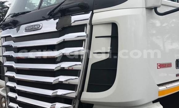 Buy Used Caterpillar 120 White Truck in Chipata in Zambia Buy Used Caterpillar 120 White Truck in Chipata in Zambia