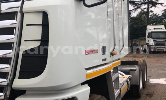 Buy Used Caterpillar 120 White Truck in Chipata in Zambia Buy Used Caterpillar 120 White Truck in Chipata in Zambia