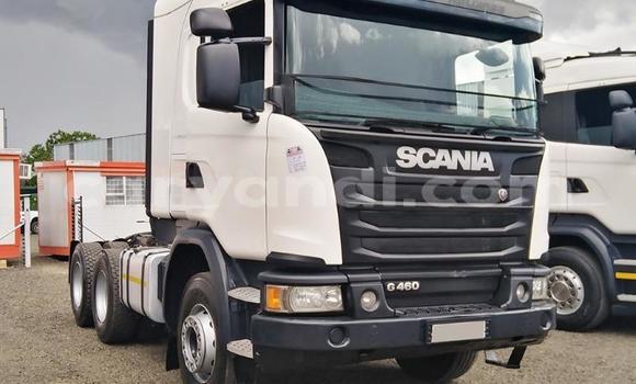 Buy Used Scania Irizar White Truck in Chingola in Zambia Buy Used Scania Irizar White Truck in Chingola in Zambia
