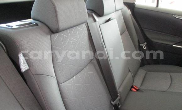 Buy Used Toyota RAV4 Other Car in Chipata in Zambia Buy Used Toyota RAV4 Other Car in Chipata in Zambia