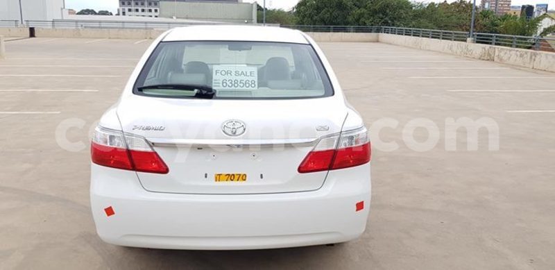 Big with watermark 46184602 1930726380315617 8911647240406171648 n