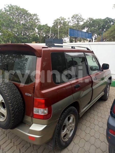 Big with watermark 46184602 1930726380315617 8911647240406171648 n