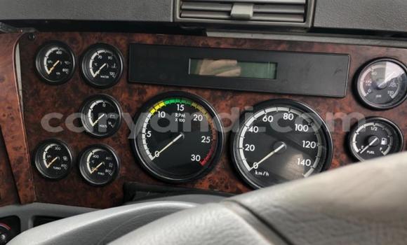 Buy Used Ricomag BW200 White Truck in Kitwe in Zambia Buy Used Ricomag BW200 White Truck in Kitwe in Zambia