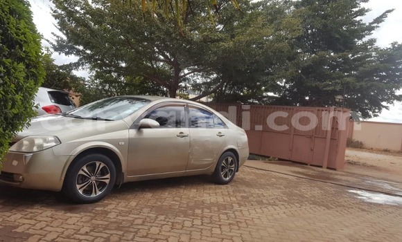 Buy Used Nissan Primera Other Car in Lusaka in Zambia Buy Used Nissan Primera Other Car in Lusaka in Zambia
