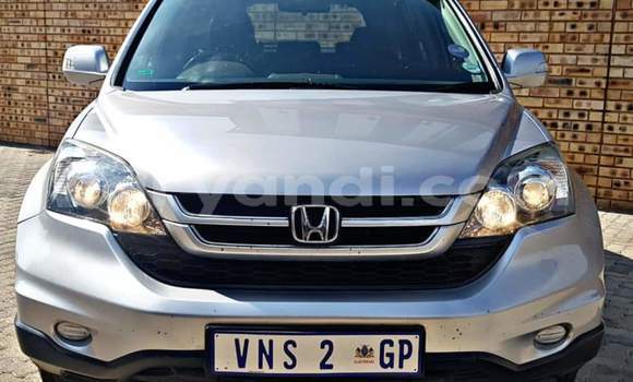 Buy Used Honda CR–V Silver Car in Lusaka in Zambia Buy Used Honda CR–V Silver Car in Lusaka in Zambia