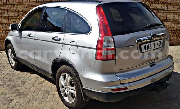 Buy Used Honda CR–V Silver Car in Lusaka in Zambia Buy Used Honda CR–V Silver Car in Lusaka in Zambia