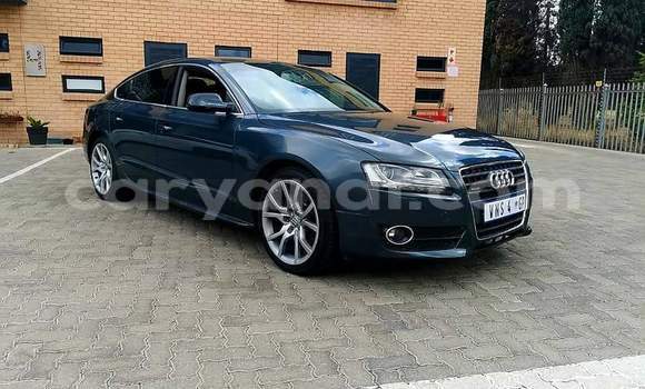 Tenga Tsaru Audi A5 Nhema Mota in Livingstone in Zambia