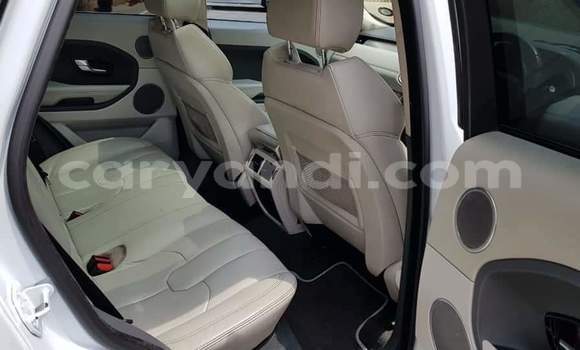 Tenga Tsaru Land Rover Range Rover Evoque Chena Mota in Livingstone in Zambia Tenga Tsaru Land Rover Range Rover Evoque Chena Mota in Livingstone in Zambia