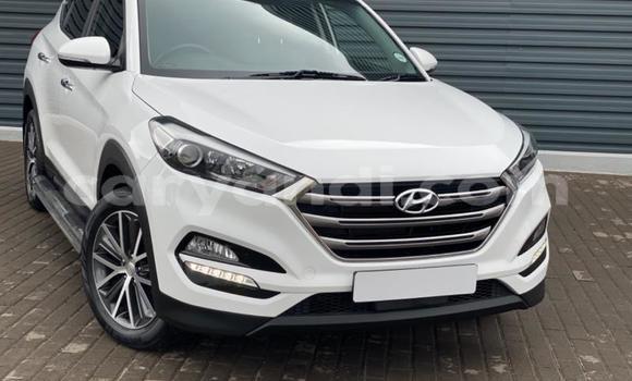 Buy Used Hyundai Tucson White Car in Kabwe in Zambia Buy Used Hyundai Tucson White Car in Kabwe in Zambia