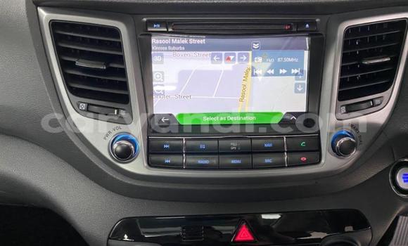 Tenga Tsaru Hyundai Tucson Chena Mota in Kabwe in Zambia Tenga Tsaru Hyundai Tucson Chena Mota in Kabwe in Zambia