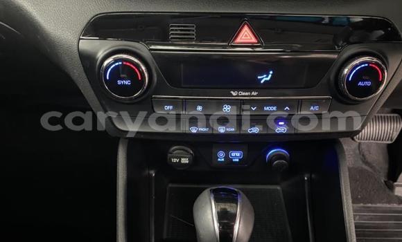 Tenga Tsaru Hyundai Tucson Chena Mota in Kabwe in Zambia Tenga Tsaru Hyundai Tucson Chena Mota in Kabwe in Zambia