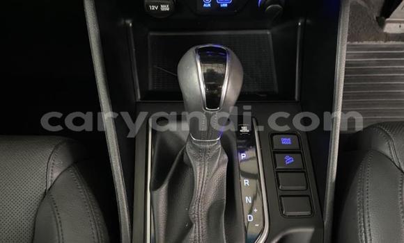 Tenga Tsaru Hyundai Tucson Chena Mota in Kabwe in Zambia Tenga Tsaru Hyundai Tucson Chena Mota in Kabwe in Zambia