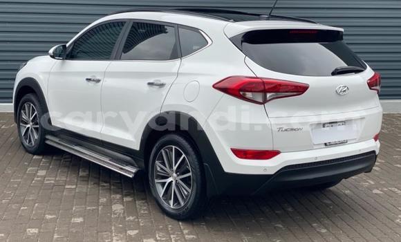 Tenga Tsaru Hyundai Tucson Chena Mota in Kabwe in Zambia Tenga Tsaru Hyundai Tucson Chena Mota in Kabwe in Zambia