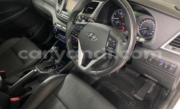 Tenga Tsaru Hyundai Tucson Chena Mota in Kabwe in Zambia Tenga Tsaru Hyundai Tucson Chena Mota in Kabwe in Zambia