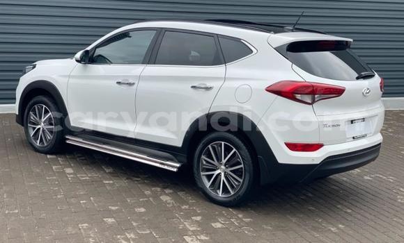 Tenga Tsaru Hyundai Tucson Chena Mota in Kabwe in Zambia Tenga Tsaru Hyundai Tucson Chena Mota in Kabwe in Zambia