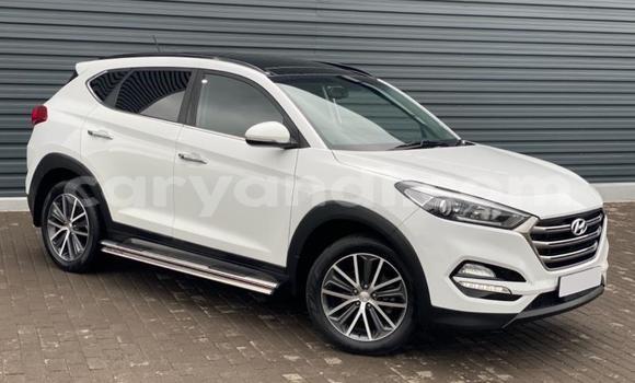 Tenga Tsaru Hyundai Tucson Chena Mota in Kabwe in Zambia Tenga Tsaru Hyundai Tucson Chena Mota in Kabwe in Zambia