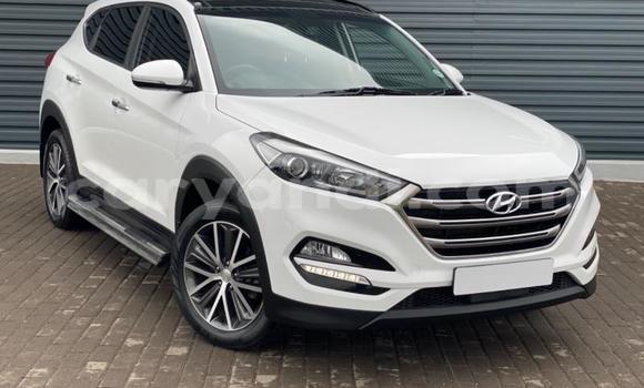 Tenga Tsaru Hyundai Tucson Chena Mota in Kabwe in Zambia Tenga Tsaru Hyundai Tucson Chena Mota in Kabwe in Zambia