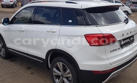 Tenga Tsaru Haval H6 Chena Mota in Chingola in Zambia Tenga Tsaru Haval H6 Chena Mota in Chingola in Zambia