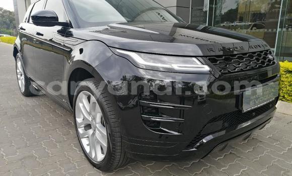 Tenga Tsaru Land Rover Range Rover Zvimwe Mota in Chingola in Zambia