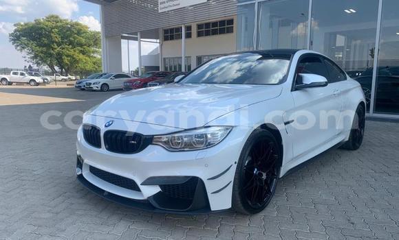 Tenga Tsaru BMW M4 Chena Mota in Choma in Southern Tenga Tsaru BMW M4 Chena Mota in Choma in Southern