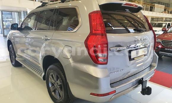 Tenga Tsaru Haval H9 Sirivha Mota in Choma in Southern Tenga Tsaru Haval H9 Sirivha Mota in Choma in Southern