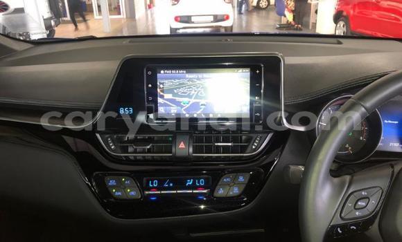 Acheter Occasion Voiture Toyota C-HR Bleu à Katete, Est Acheter Occasion Voiture Toyota C-HR Bleu à Katete, Est