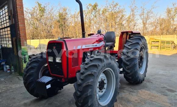 Buy Used Man Silent Red Truck in Lusaka in Zambia