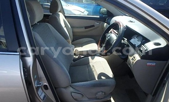 Tenga Imported Toyota Allex Zvimwe Mota in Lusaka in Zambia Tenga Imported Toyota Allex Zvimwe Mota in Lusaka in Zambia