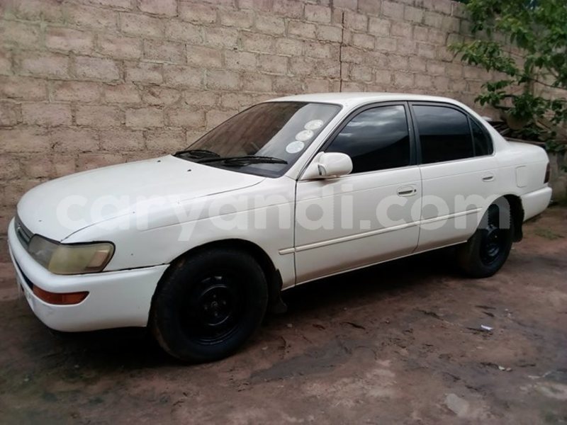 Big with watermark 46184602 1930726380315617 8911647240406171648 n