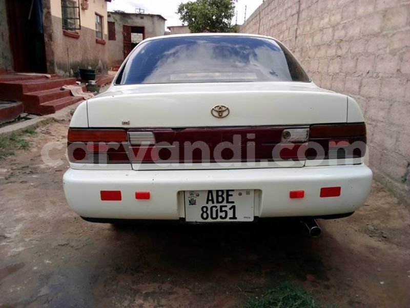 Big with watermark 46384960 10215822020417582 3570141128999043072 n