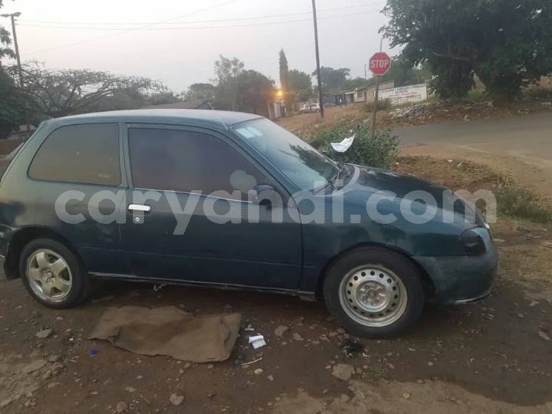 Big with watermark 46184602 1930726380315617 8911647240406171648 n